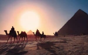 埃及夏季旅游胜地金字塔前的骆驼
