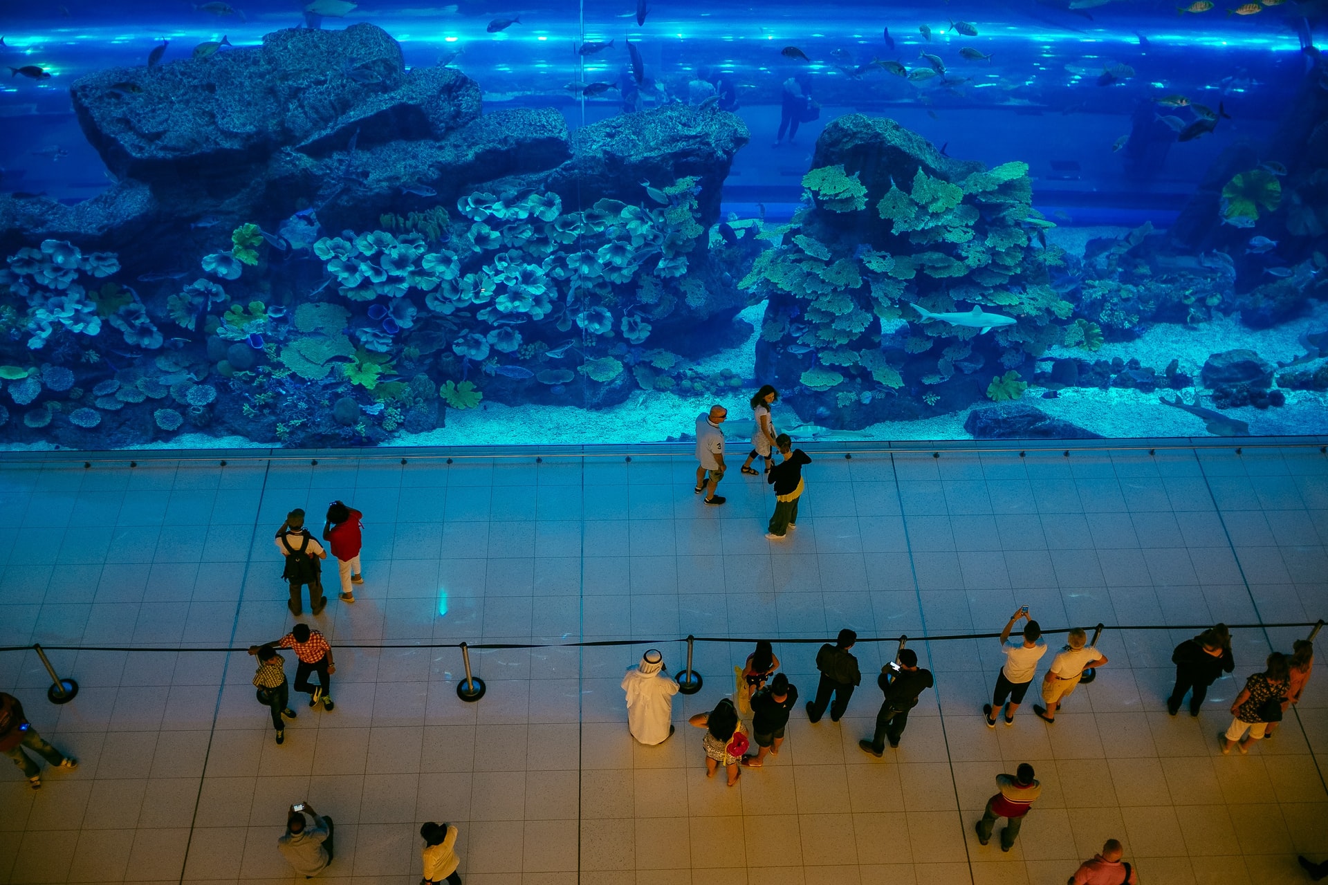 迪拜水族馆