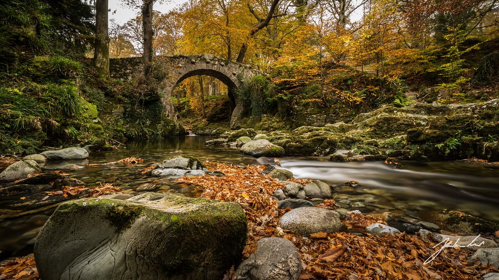 秋季漫步北爱尔兰以其各种壮丽的风景、迷人的林地和令人惊叹的自然景观而闻名。bobapp手机版bob体育下栽在每个县，自然母亲展示了她的美丽，为NI提供了吸引世界各地关注的风景。为了向北爱尔兰的美丽致敬，我们整理了一份北爱尔兰最佳秋季散步指南:bobapp手机版bob体育下栽
